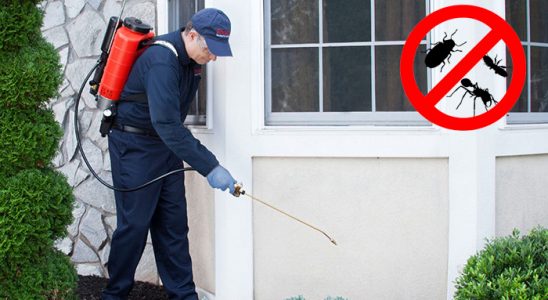 Van Bit İlaçlama böcek ilaçlama ve haşere kontrolü — ilaclama-tr.com